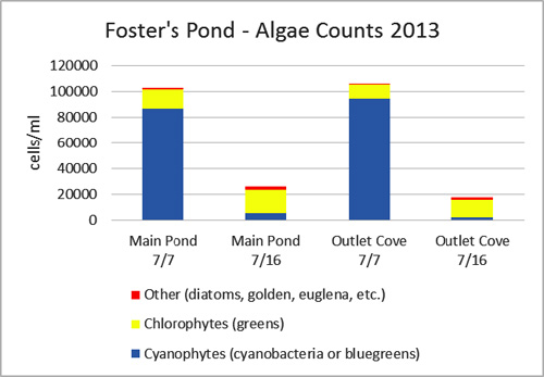 algae counts chart